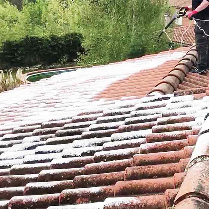 démoussage,traitement des toits,traitement antimousse,gouttières zinc pvc,Démoussage traitement des toits