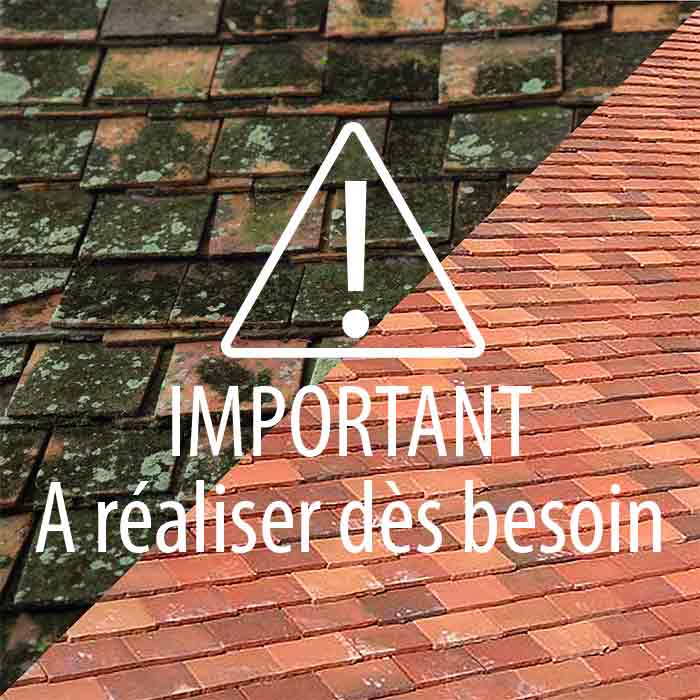 ravalement façades,couverture charpente isolation ravalement,gouttières zinc et PVC,toits en tuiles ardoises shingle bac acier,couvreur traditionnel,SG Rénov Pro 36 couvreur