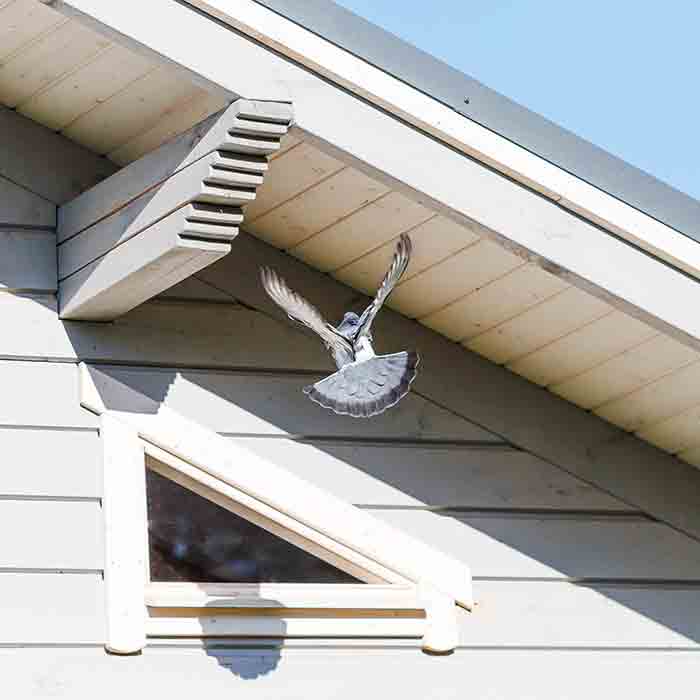 dessous-de-toits-700 ravalement façades,couverture charpente isolation ravalement,gouttières zinc et PVC,toits en tuiles ardoises shingle bac acier,couvreur traditionnel,SG Rénov Pro 36 couvreur